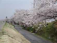 長井市観光ポータルサイト 水と緑と花のまち ようこそ やまがた長井の旅へ