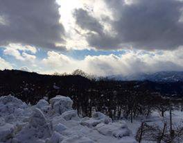 �ڥߥ�ʥ��۽ˡ�����ơ�����