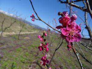 ������κ����ͻҡ�������