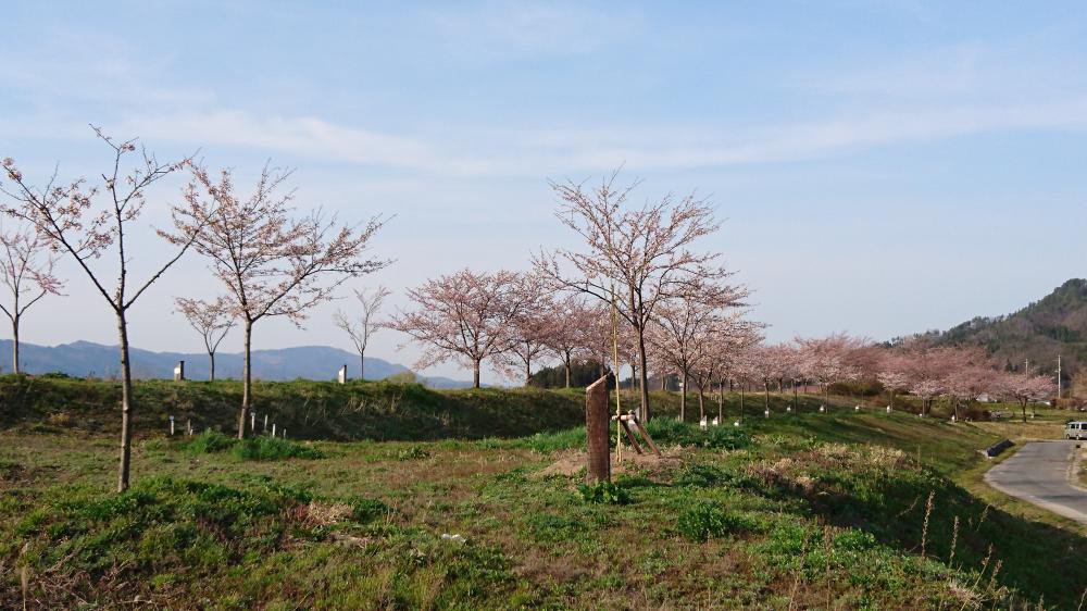 4��12�� �ںǾ�����ŤĤߡۺ����ϣ�ʬ�餭�Ǥ�������