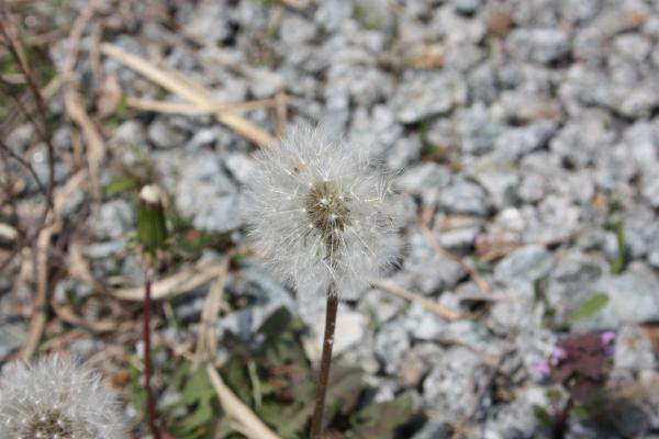 ����ݤݤ�⤦���Ӣ�������