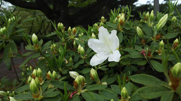 �ĤĤ����⤦�餤�Ƥ롩��������