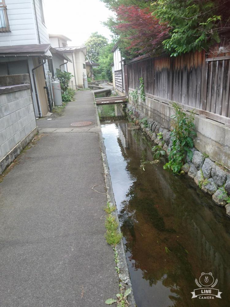 �����⡧����