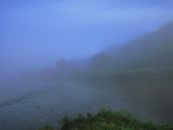 ΥfogȤmist