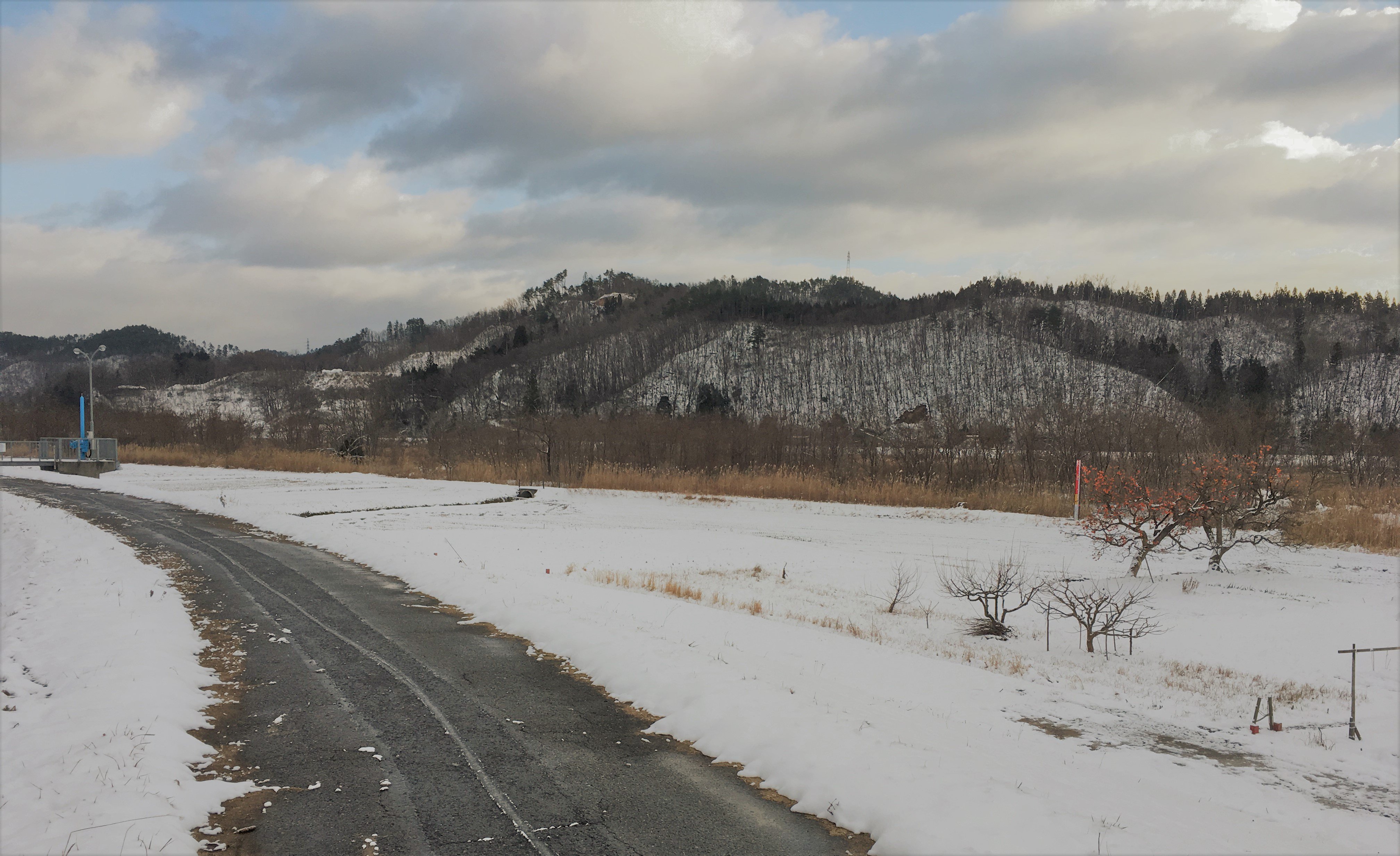 �����κǾ�����ա�����