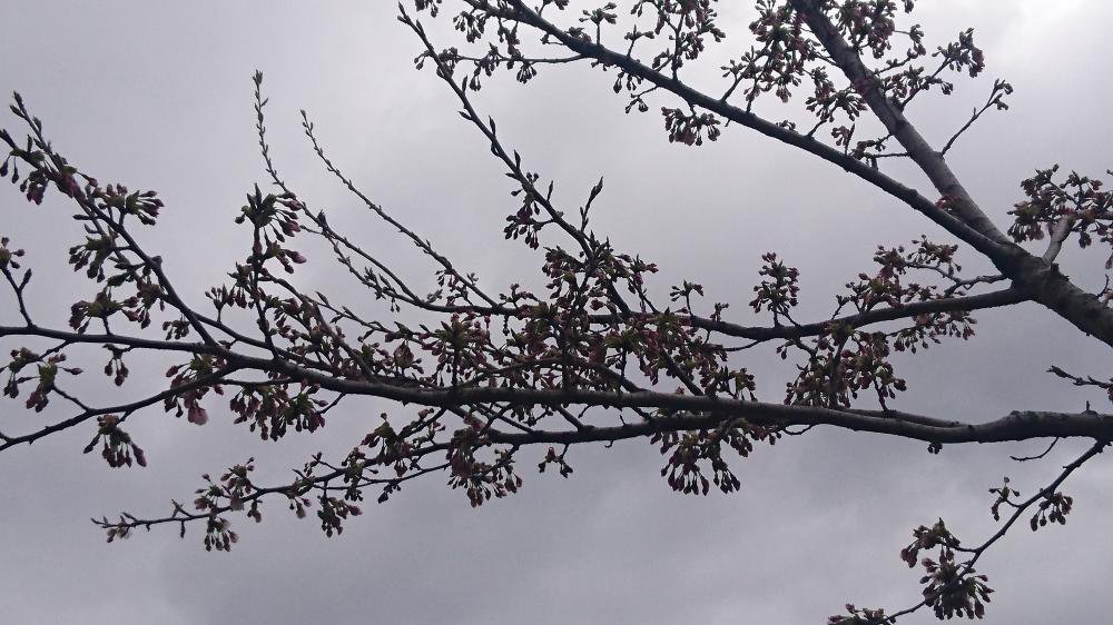 �Ǿ�����鳫�־���(���Σ�)������