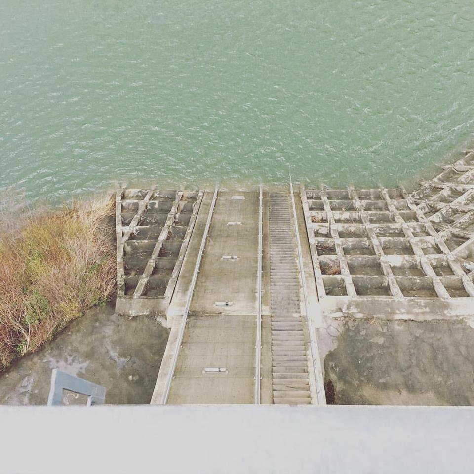 Ĺ��Ρ֤��äڥ��ݥåȡס�����