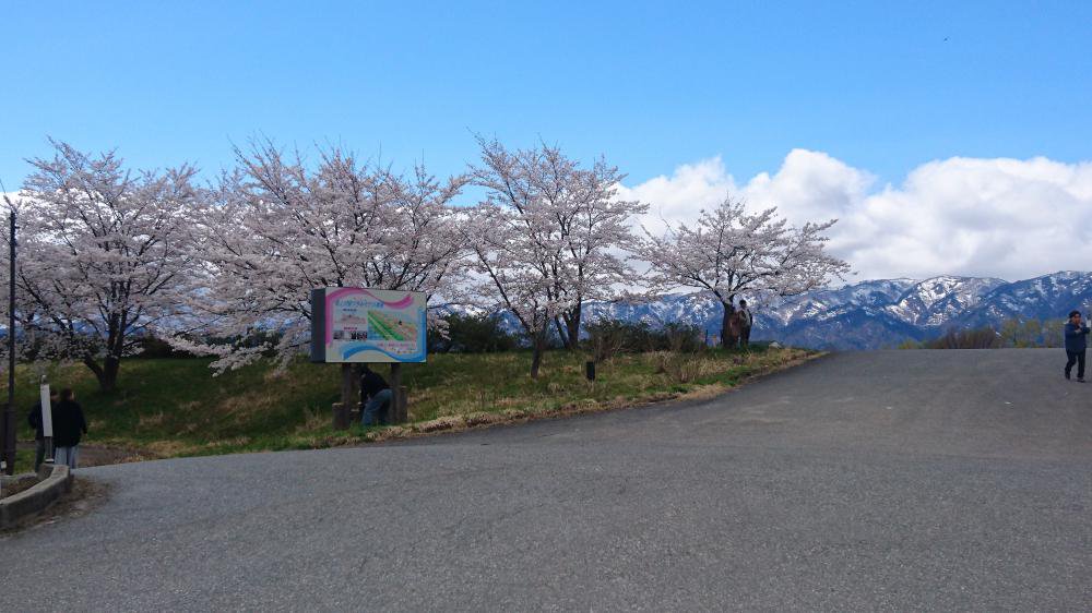 �Ǿ�����鳫�־���(�ǽ��Ǥ�)������