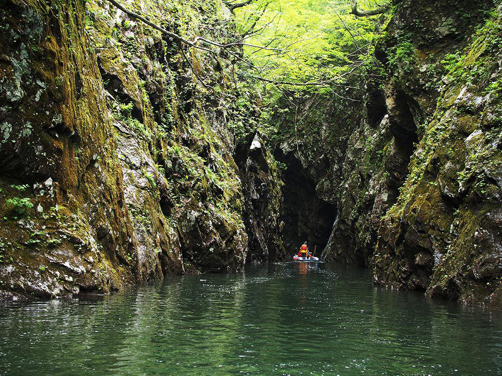 ��ʥ��ë�̤�ȴ�����ҡ�����