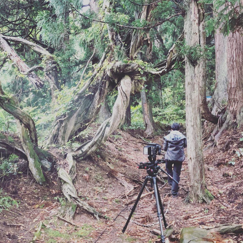 ����ͤ򻣤롧����