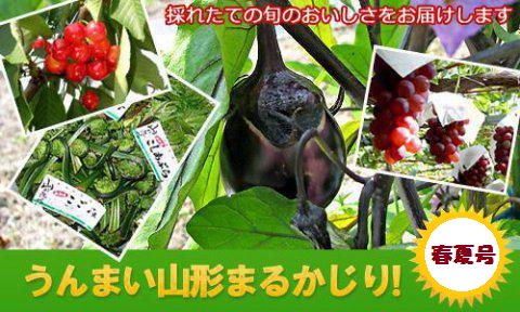 �ڡ֤���ޤ������ޤ뤫�����ȯ�����ޤ��������餤����Į�ʤ��κ����ۡ�����