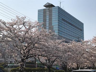 �ڤ���Ǥ�դ��̡�ˡۡ�����