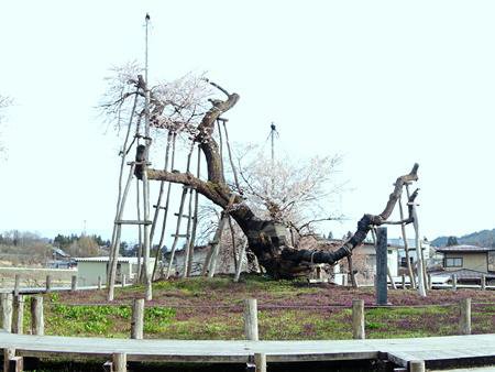 �ں���Ĺ��ԡ������ȥ������ۡ�����