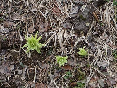 �ڽդ�©��ۡ�����