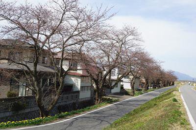 �ں����ڡۡ�����