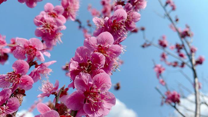 ��21 Ĺ�����κ����־����4��3��)������