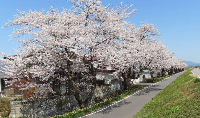 ��21 Ĺ�����κ����־����4��12��)������