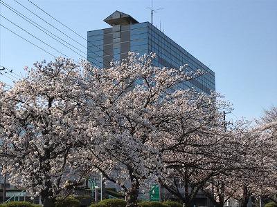 �ڽ��̡�ۡ�����