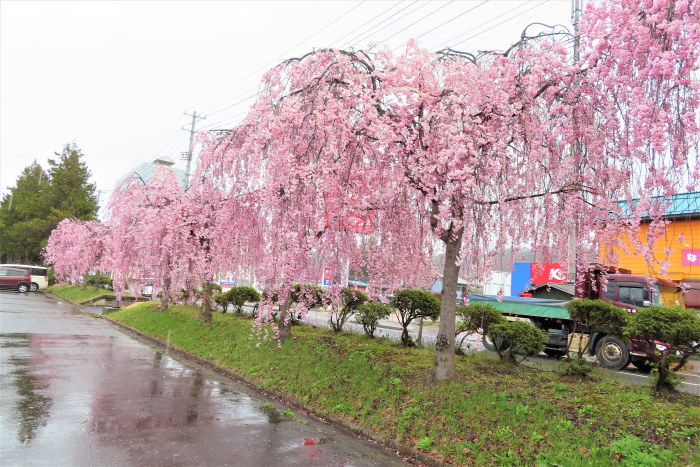 ��21 Ĺ�����κ����־����4��14��)������