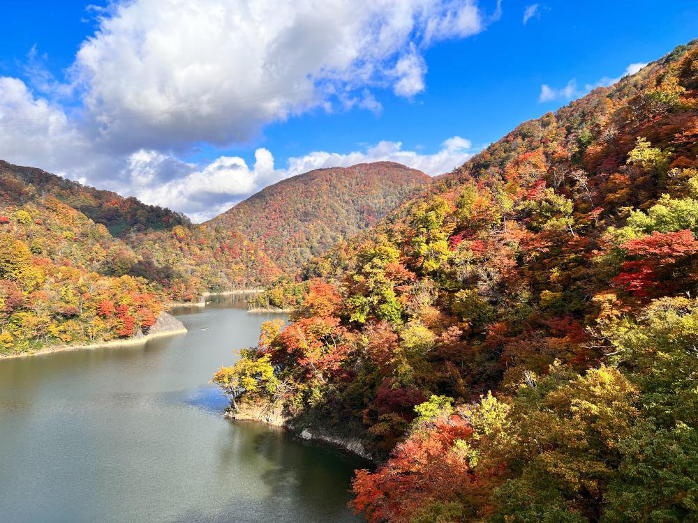 ���ե��ݥåȾҲ��Ĺ��ԡˡ�����