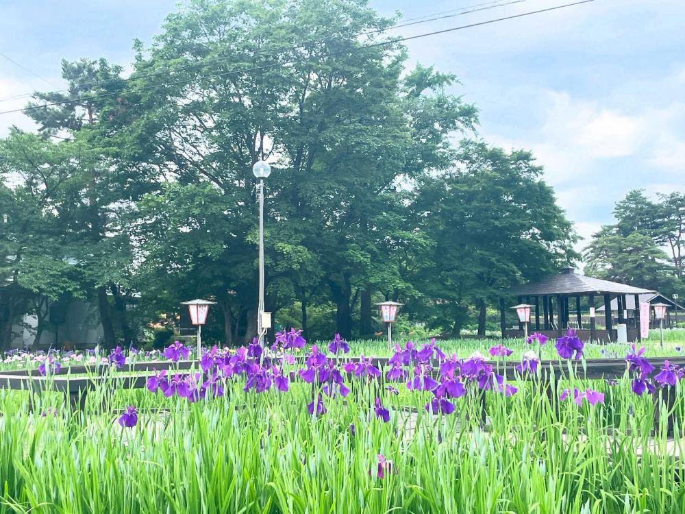 '25 ����ᳫ�־���(6��19��)������