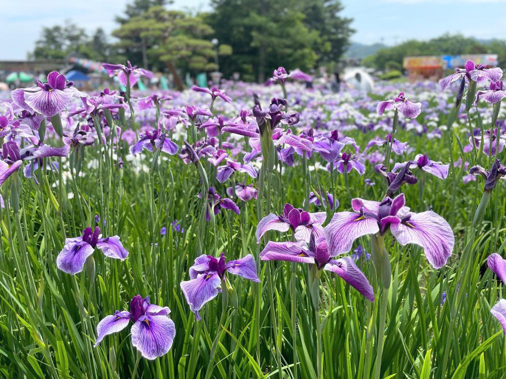 '25 ����ᳫ�־���(6��23��)������