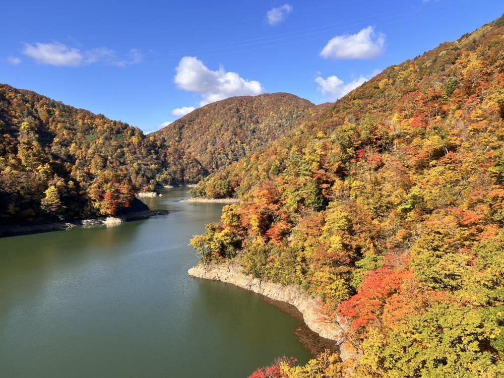 ��25 ���վ��� (11��4��)������