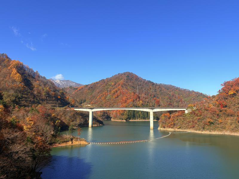 ��25 ���վ��� (11��14��)������