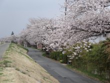 長井市観光ポータルサイト 水と緑と花のまち ようこそ やまがた長井の旅へ 長井市観光ポータルサイト 水と緑と花のまち ようこそ やまがた長井の旅へ