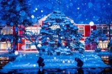 応募〆切：2/12(日)【フォトキャンペーン】-ながい雪灯り回廊まつり プレゼンツ-  『冬の長井』Instagramフォトキャンペーン：画像