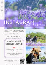 「長井のあやめ2023」Instagramフォトキャンペーン：画像
