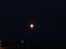 満月でしたね＾＾：画像