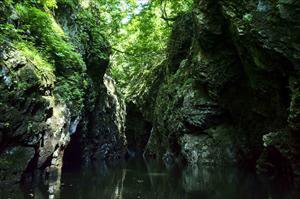 �ڤʤ���ɴ���Хܡ��ȥġ���󥰡�2019ǯ�յ�������������