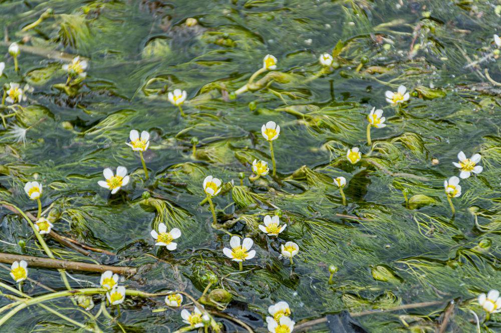 ĹΤޤ⤭ˤϡ߲ޥåס٤äƤ