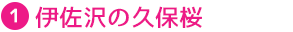 ˺εݺ