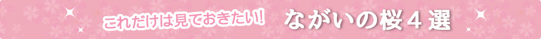 ʤ4