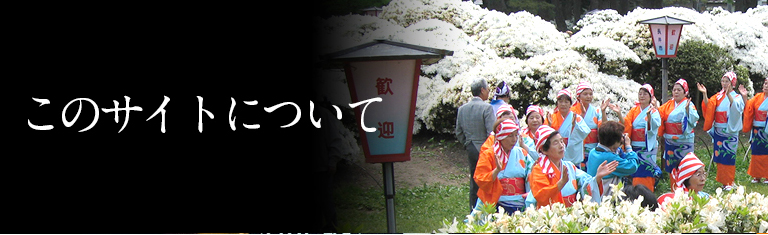 このサイトについて