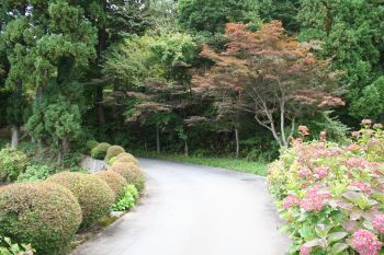 14 紅葉情報】 洞松寺(9月30日)：長井市観光ポータルサイト 水と緑と花のまち ようこそ、やまがた長井の旅へ