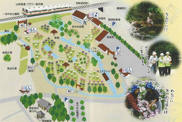 あやめ公園 長井市観光ポータルサイト 水と緑と花のまち ようこそ やまがた長井の旅へ